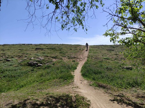 ruta bici Pedro Muñoz